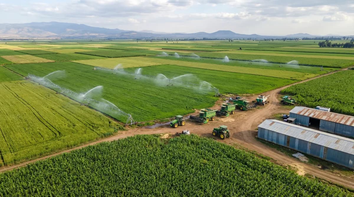 ZG Business Group - Image 2