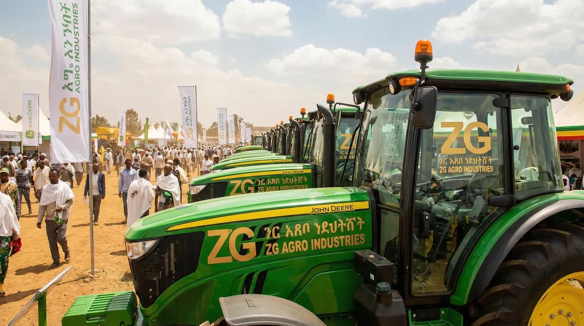 ZG Business Group - Image 7