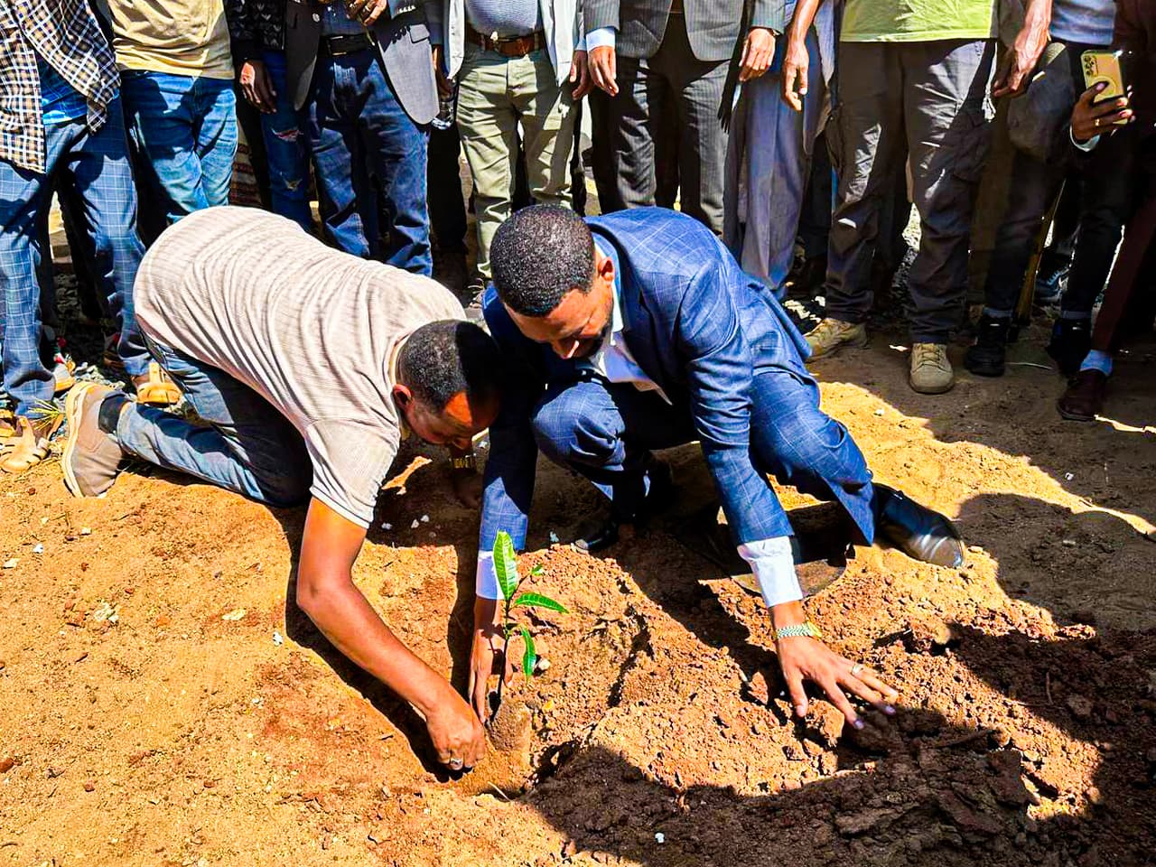 Environmental initiative — reforestation and community engagement